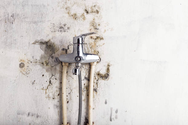 Water Damage Restoration in Sunrise Beach Village, TX
