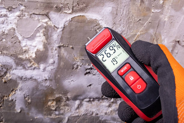 Home Mold Removal in Sunrise Beach Village, TX