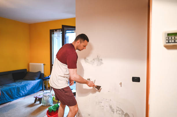Best Home Mold Removal  in Sunrise Beach Village, TX